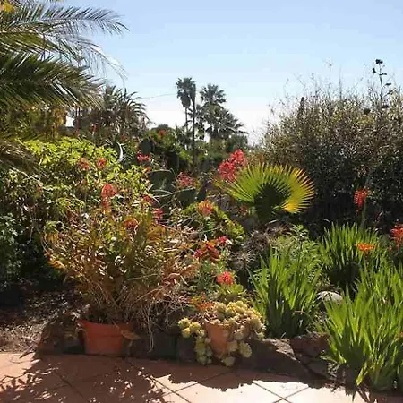 Casita Pincoras